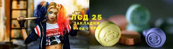 дмт Бердск