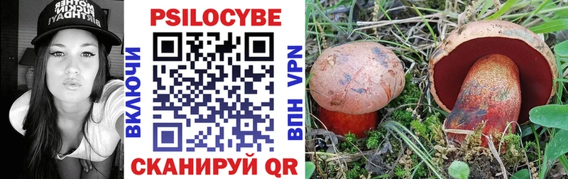 где купить наркотик  Шлиссельбург  Псилоцибиновые грибы мицелий 